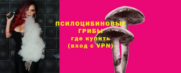 a pvp Сафоново