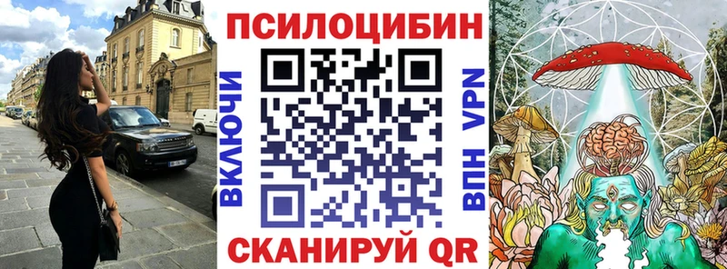 blacksprut ССЫЛКА  Тарко-Сале  Псилоцибиновые грибы Psilocybine cubensis 